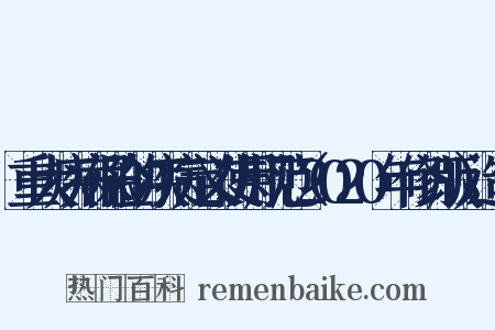 重大疾病保险的疾病定义使用规范（2020年修订版）造句是什么意思的图片